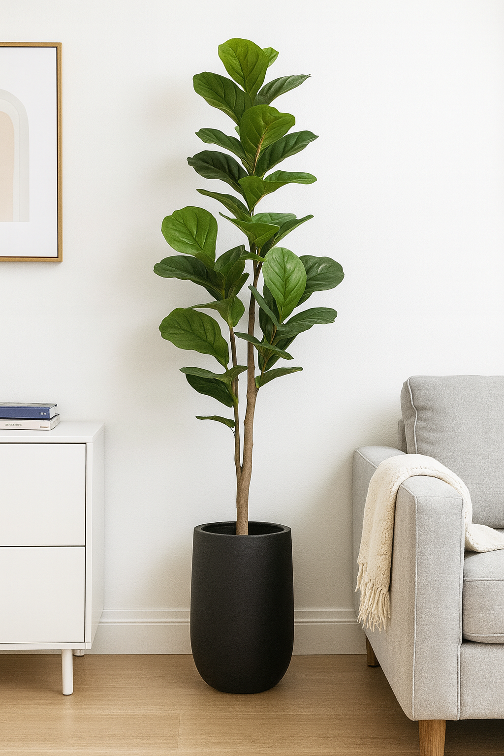 Indoor plants and Planters