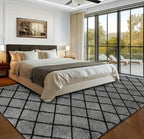 Ultra Soft Thick Area Rug