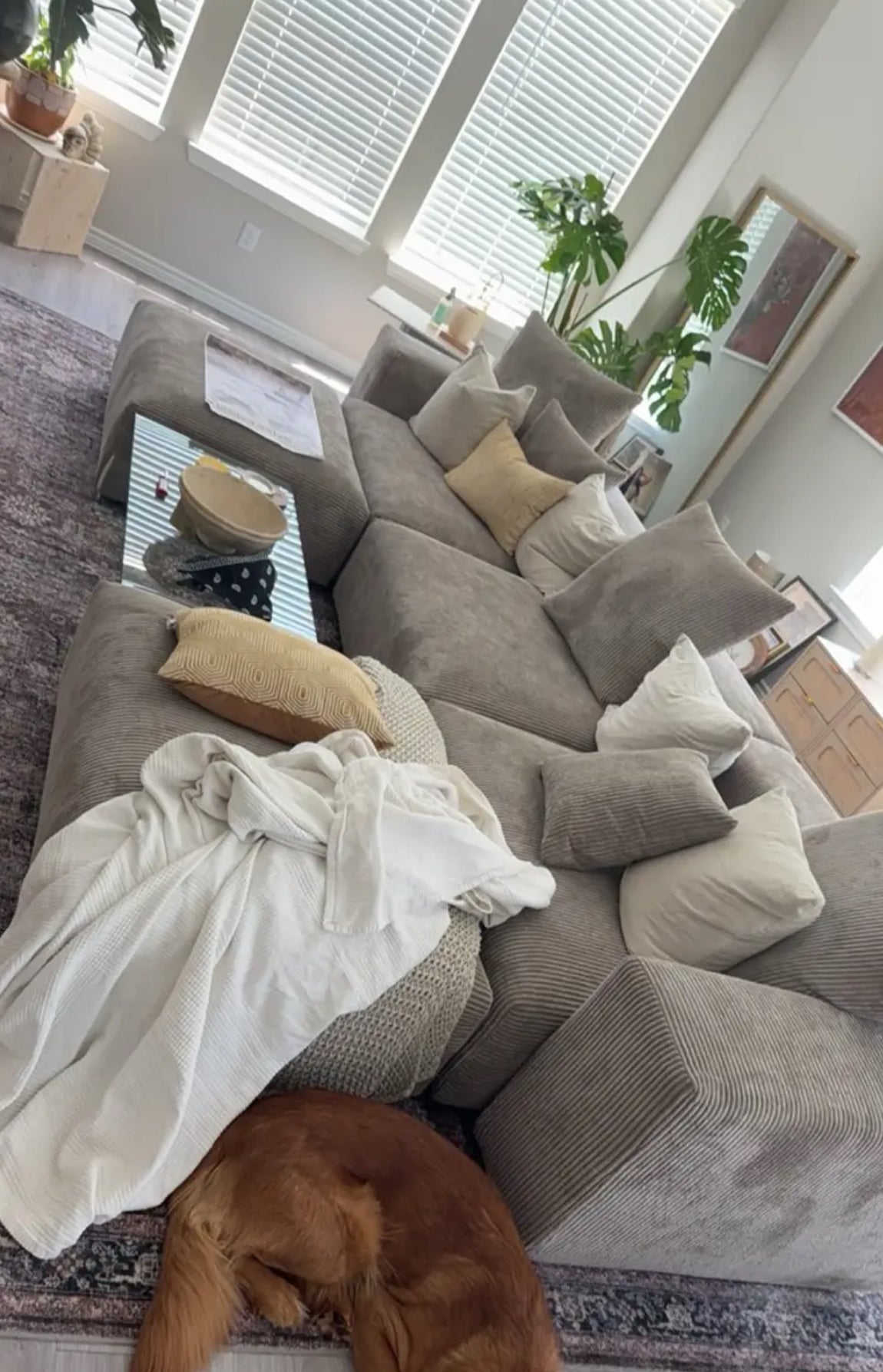 The Comfy Cube Sectional