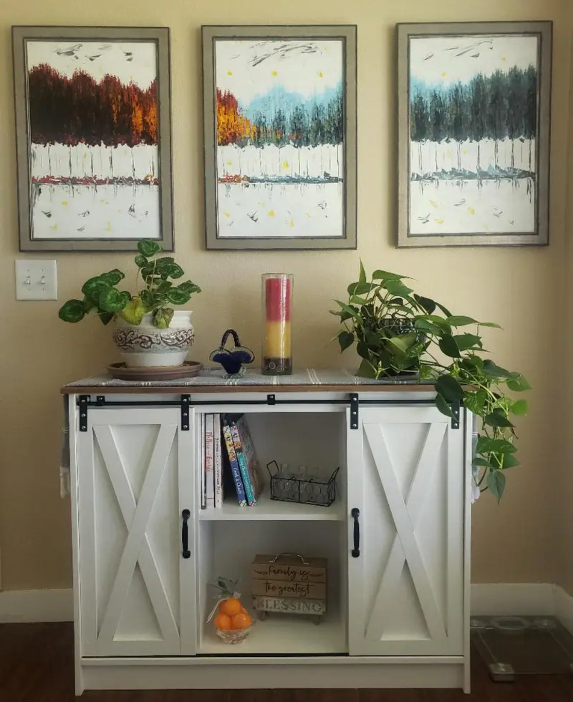 Rustic Haven Sliding Barn Door Cabinet